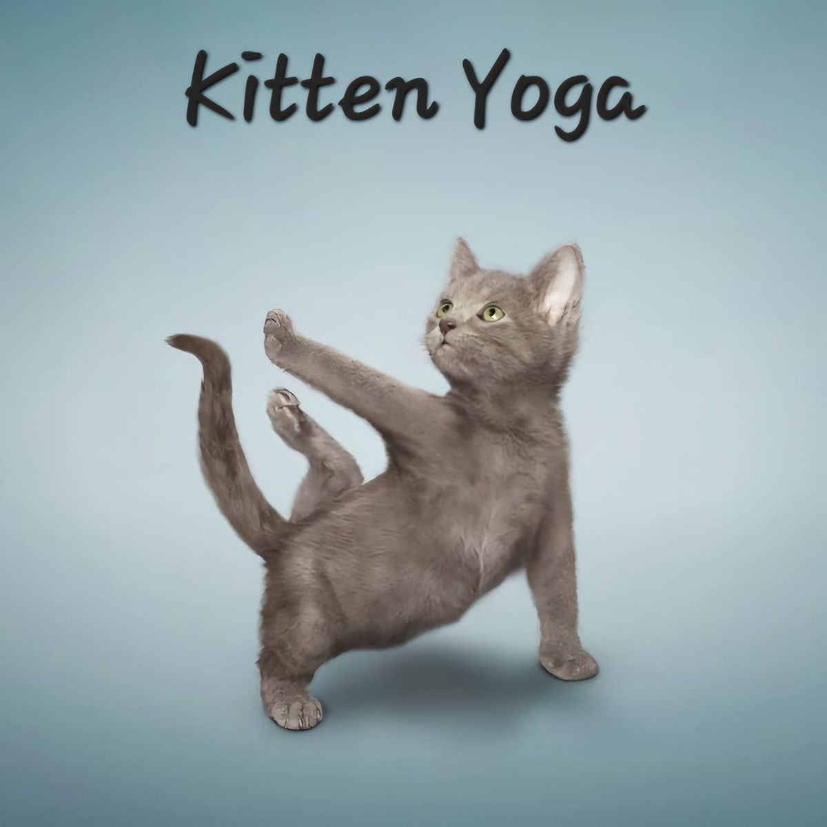 Kitten Yoga 