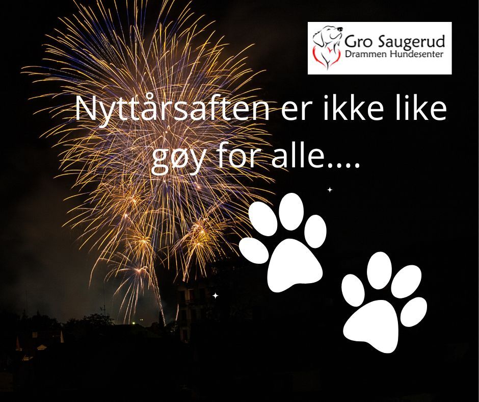 Tilvenningskvelder Til rets Nytt rsraketter Nedre Eikervei 65 3048 tilvenningskvelder-til-rets-nytt-rsraketter-nedre-eikervei-65-3048