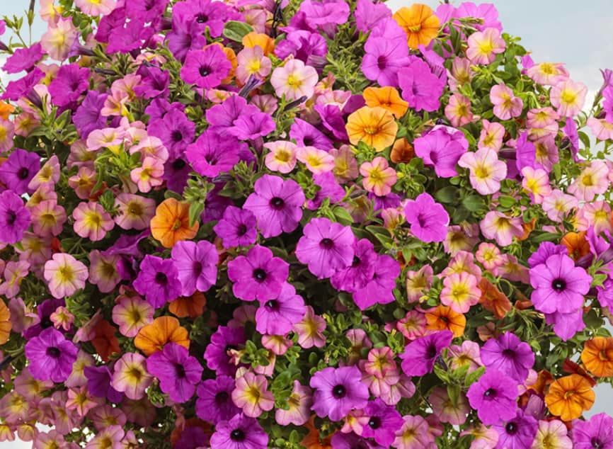 2024 Spring Container Seminar