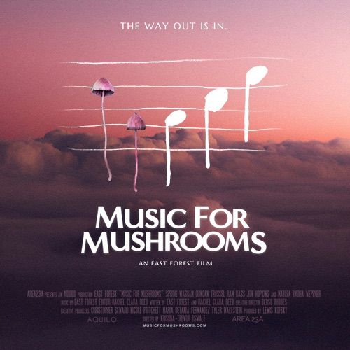 Music For Mushrooms