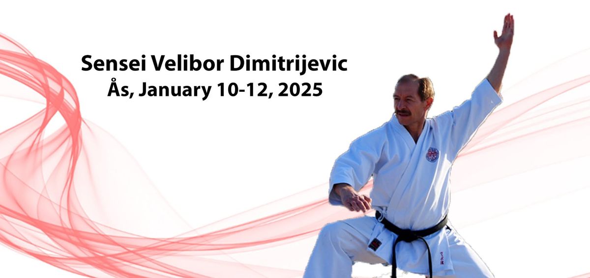 Treningssamling med Sensei Velibor Dimitrijevic