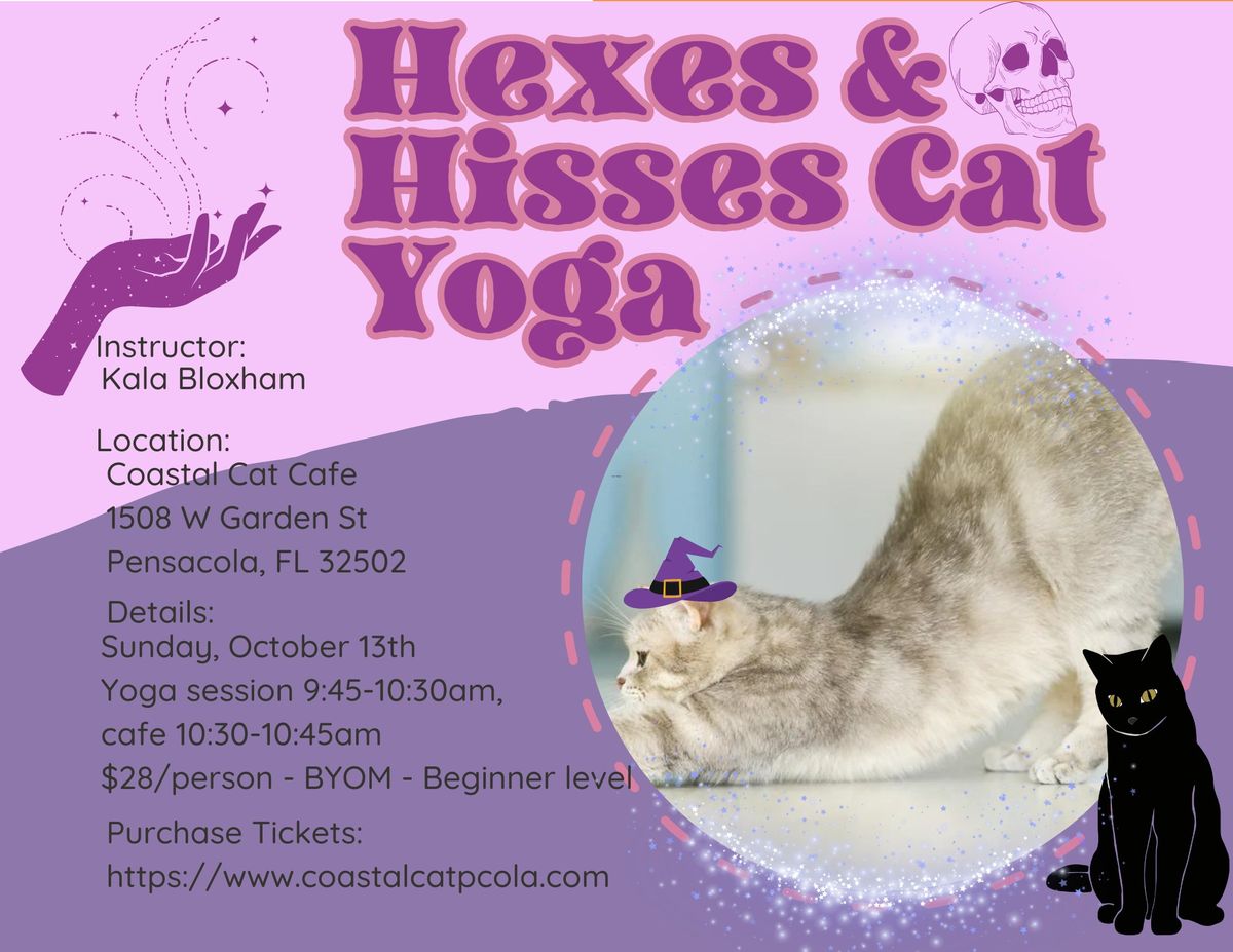 Hexes & Hisses Cat Yoga