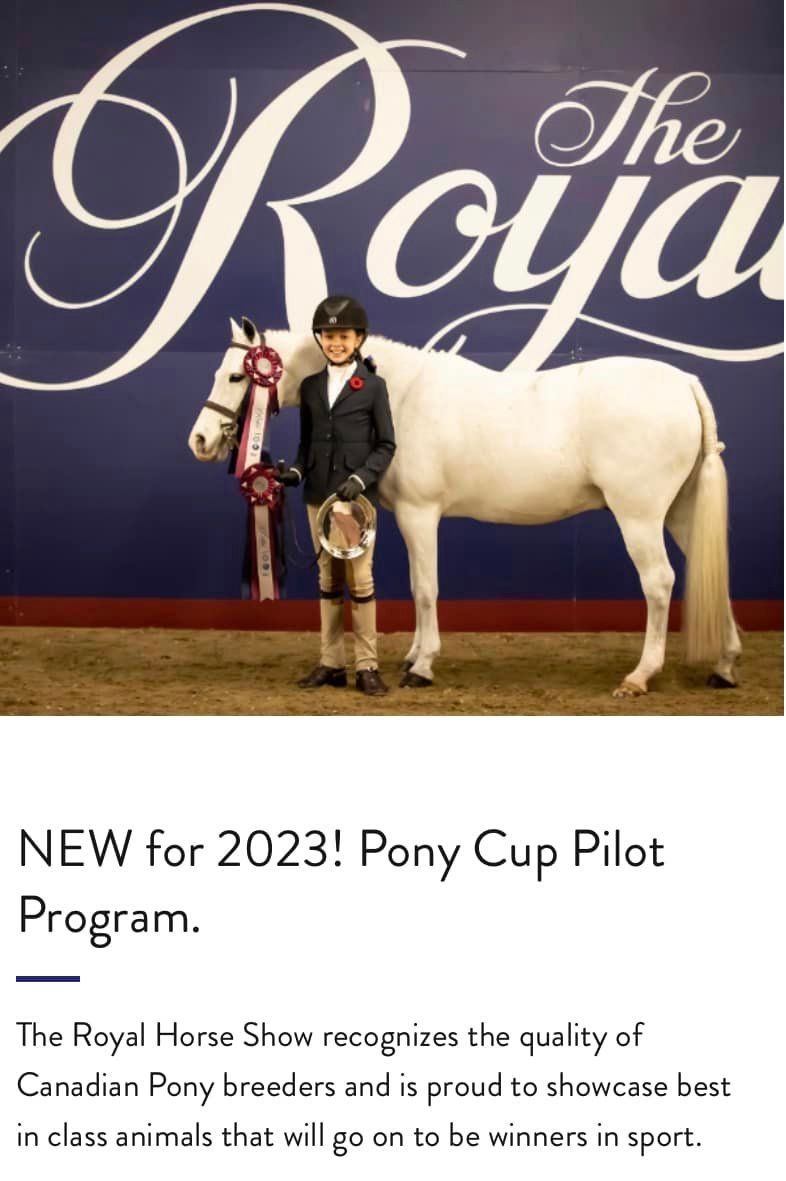 Royal Pony Cup Qualifiers 2024