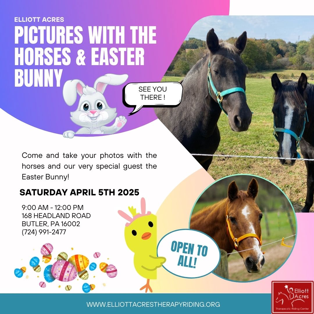 Pictures with the Horses & Easter Bunny