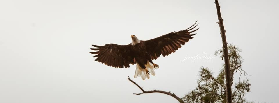 Eagle Tour Horseshoe Lake 