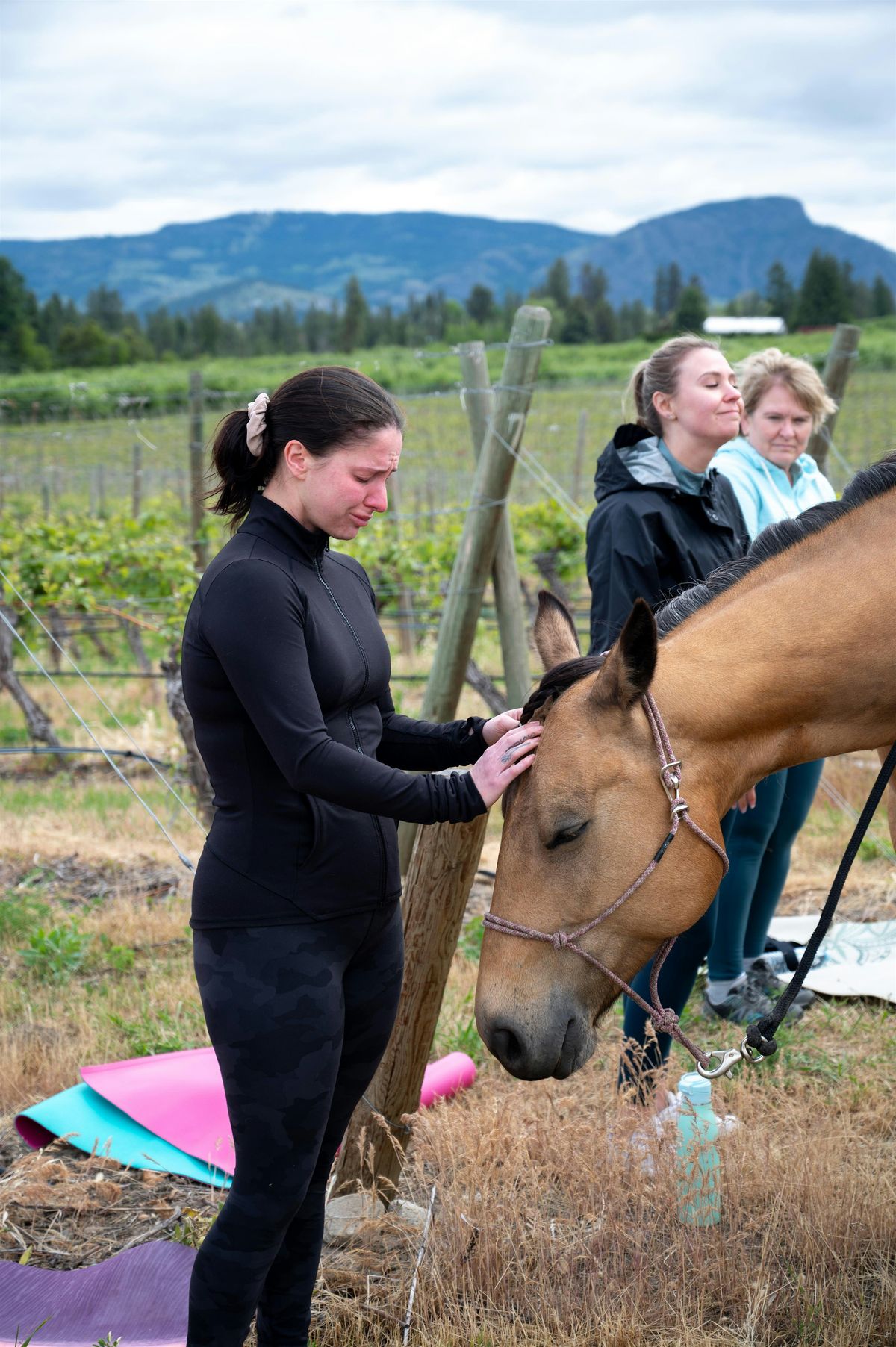 Yoga & Horse Meditation Among the Vines at The View Winery!!
