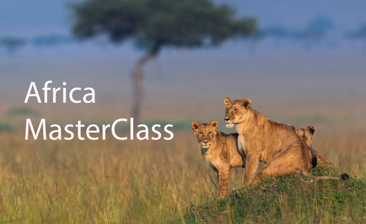 Exclusive Wildlife Photography Adventure in Maasai Mara