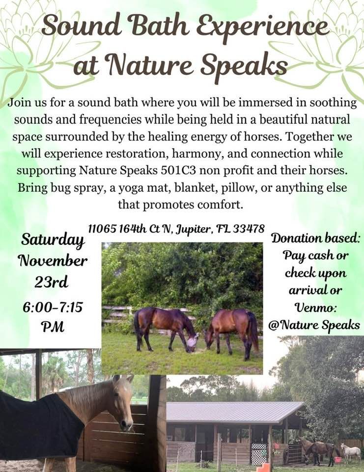 Sound Bath at Nature Speaks 