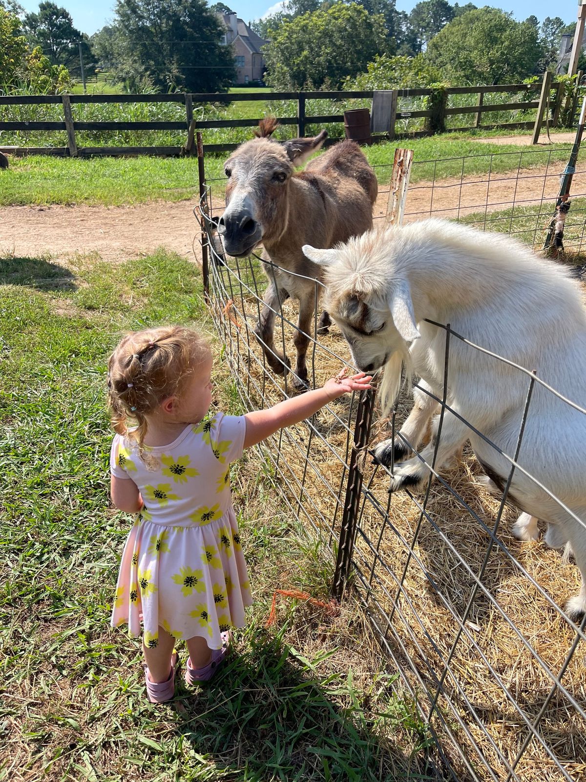 Toddler Time at The Barn