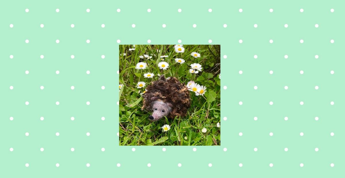 Needle Felted Curly Hedghog - Bradfield Woods