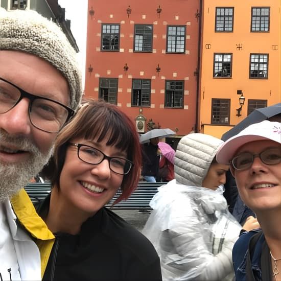 Best Stockholm Small Group Bike Tour. English,French or Spanish! 