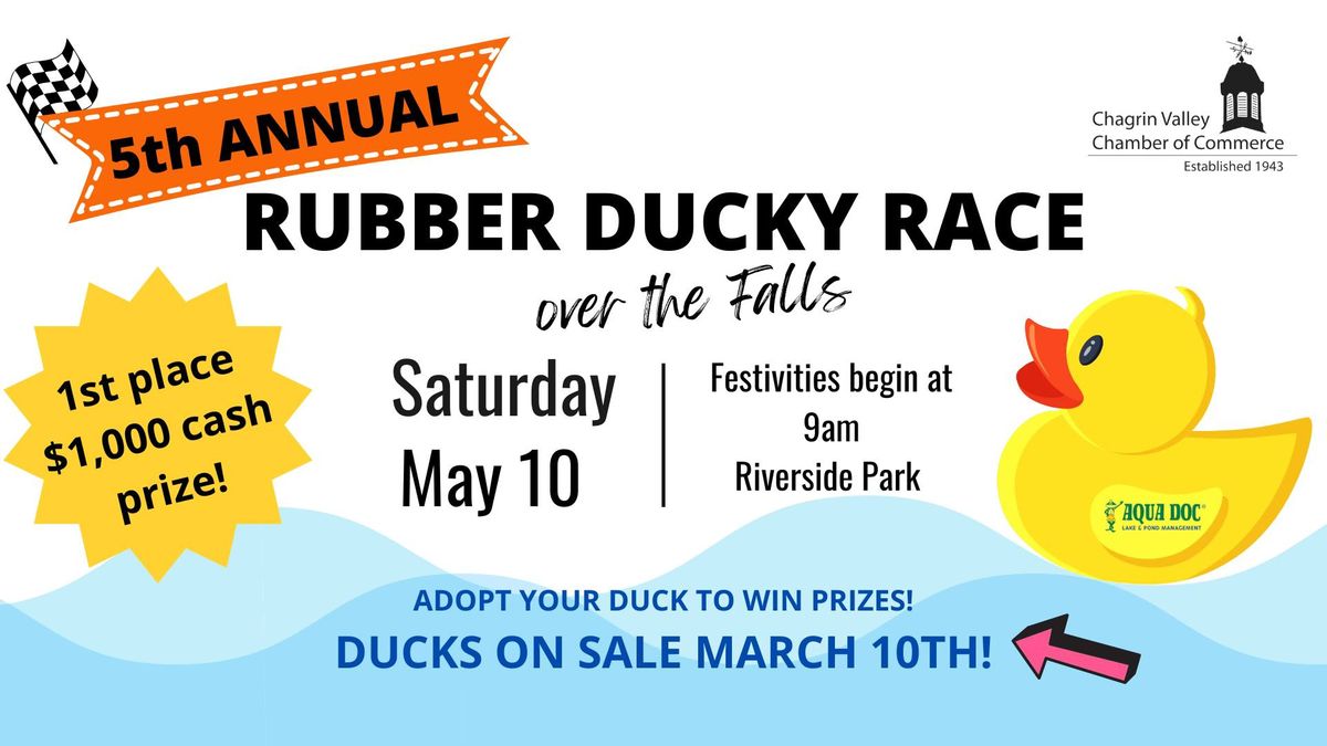 2025 Rubber Ducky Race over the Falls