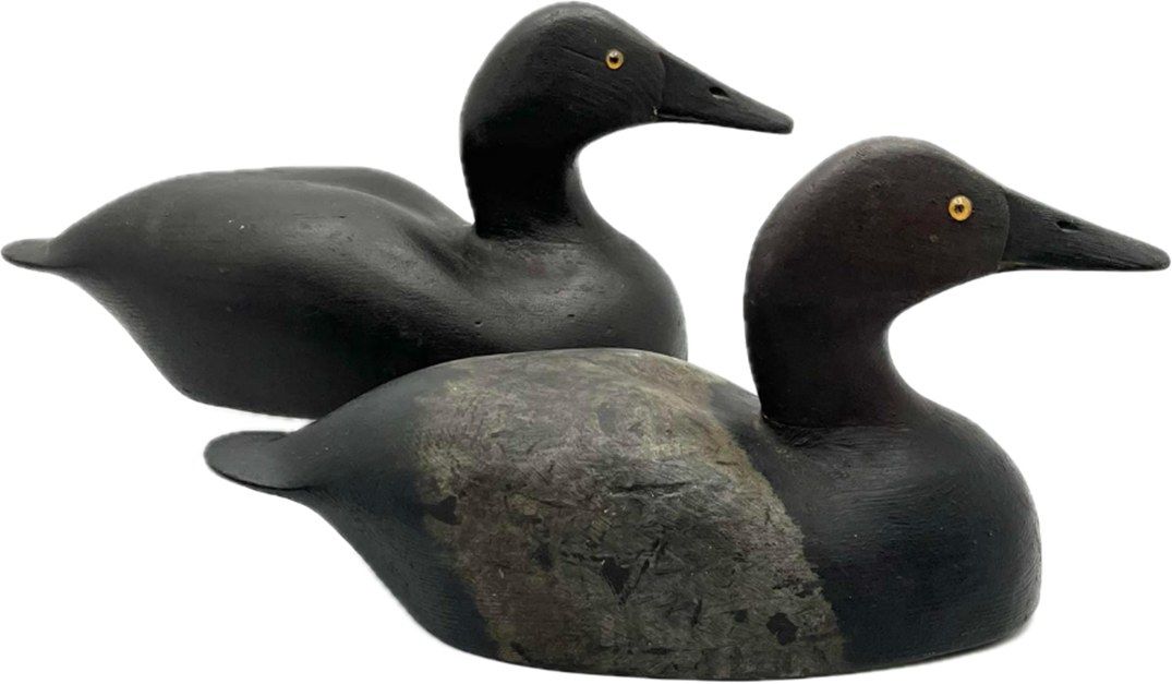 2024 Canadian Decoy and Outdoor Collectibles Show
