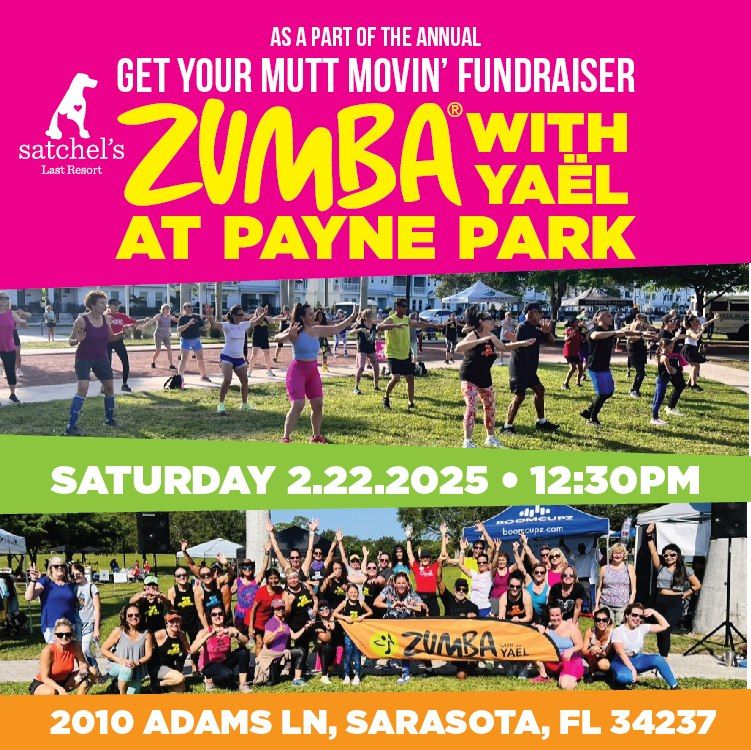 Zumba at Payne Park - Get your Mutt Movin\u2019 Fundraiser