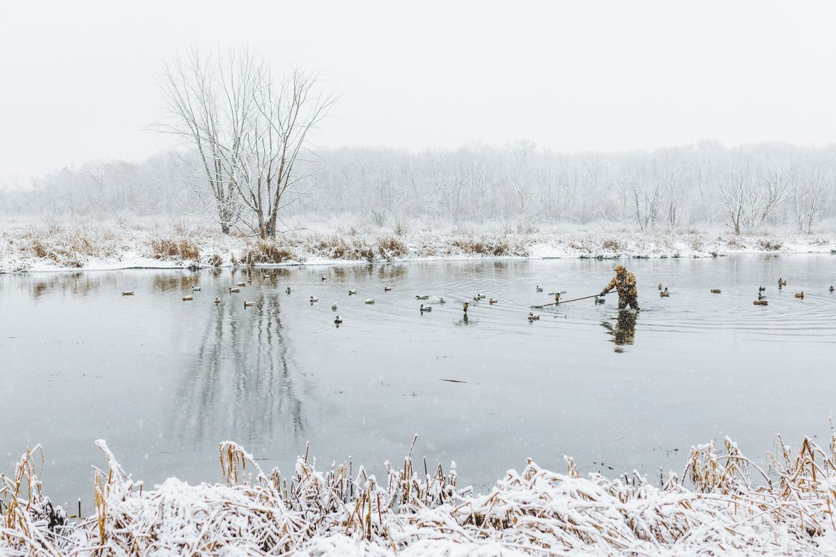 Duck Numbers with Delta Waterfowl