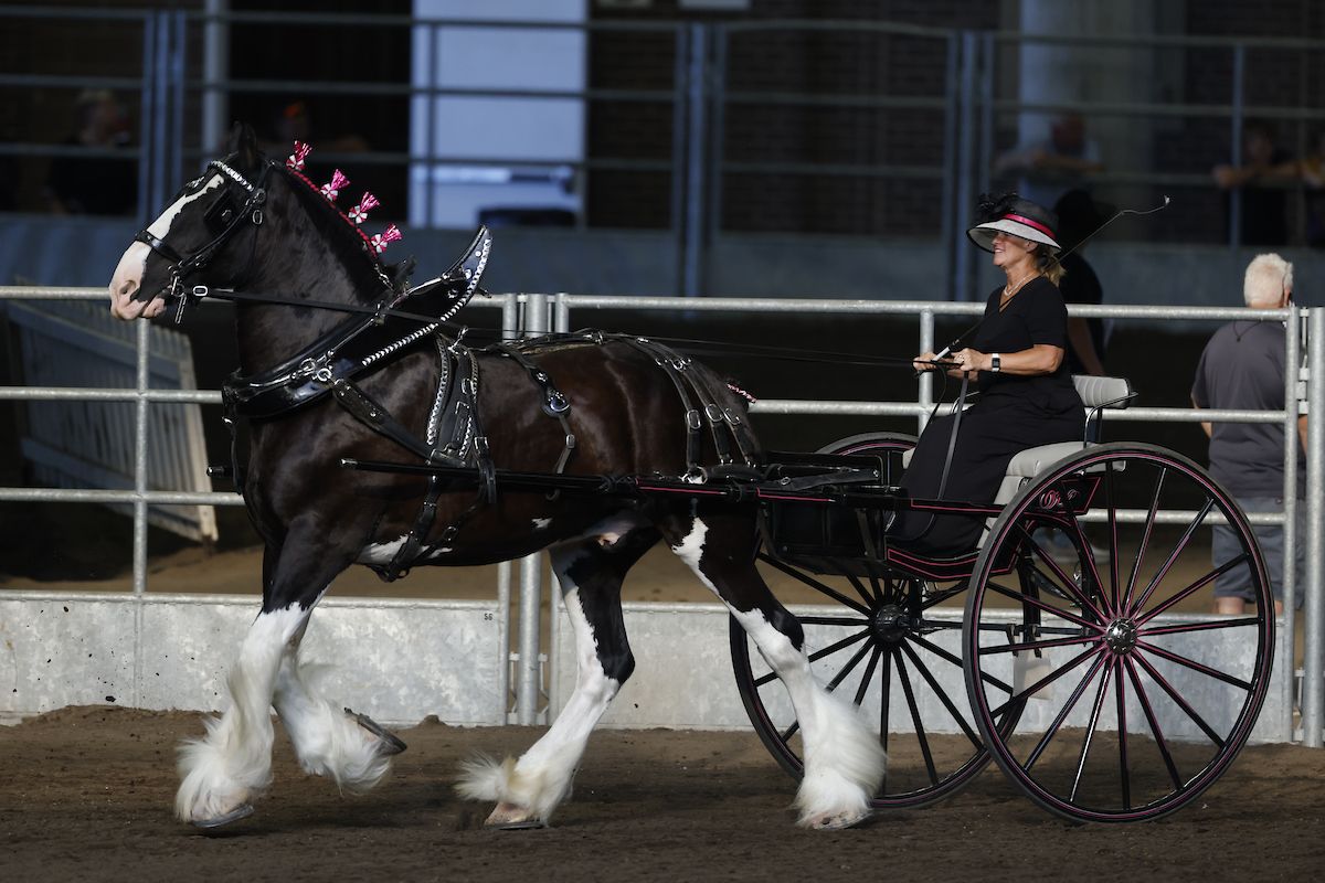 Iowa State Fair - Des Moines