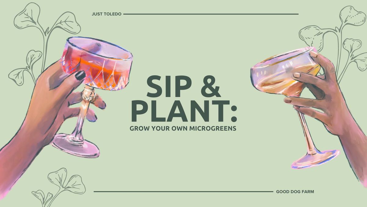 Sip & Plant: Grow Your Own Microgreens