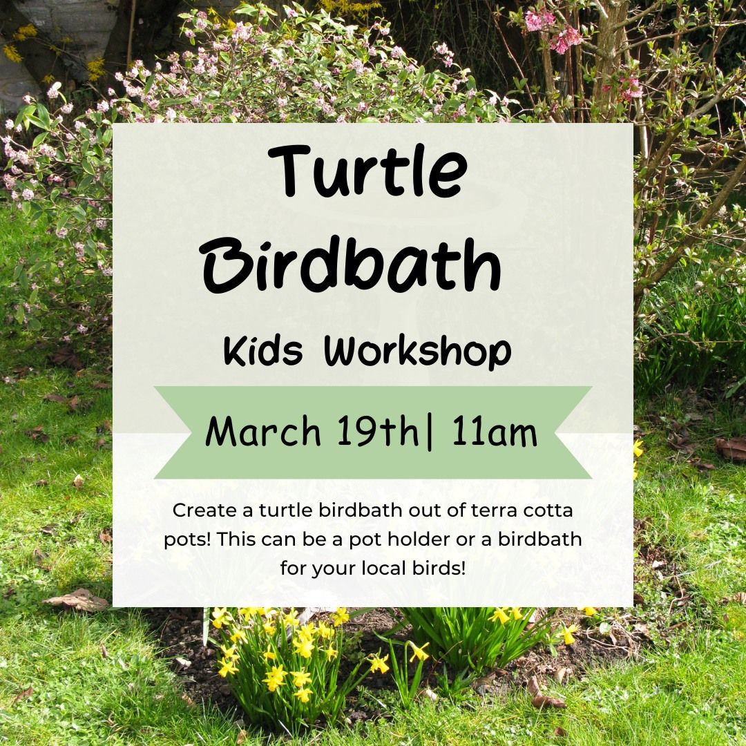 Turtle Birdbath Kids Workshop