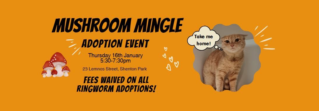 Mushroom Mingle ?\u2728 Fees Waived On All Ringworm Adoptions