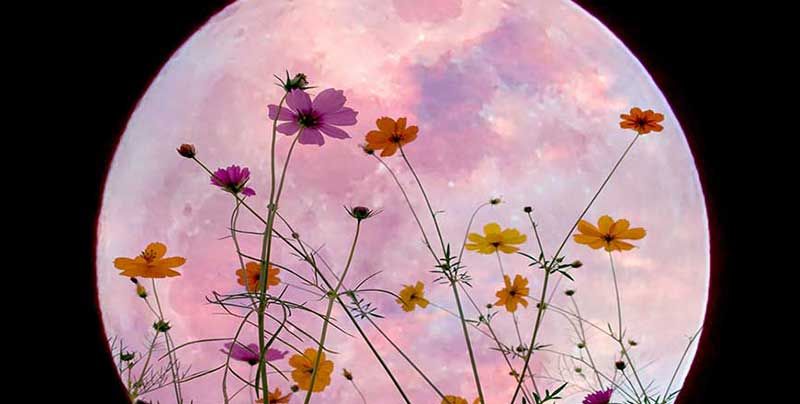 Full Flower Moon Drum Circle