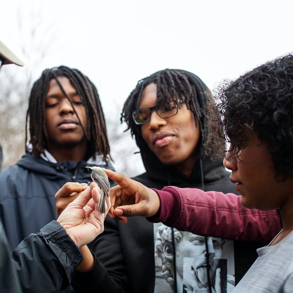 Bird Banding with Red Oaks Birding Club