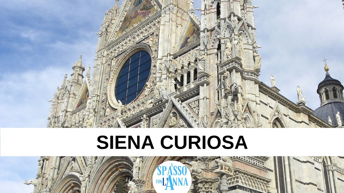 SIENA CURIOSA -Passeggiata guidata