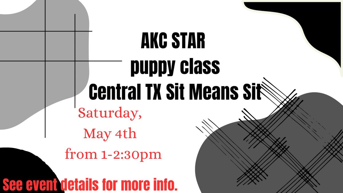 AKC Star Puppy Class(Saturday)
