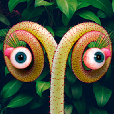 Festiwal Ro\u015blin