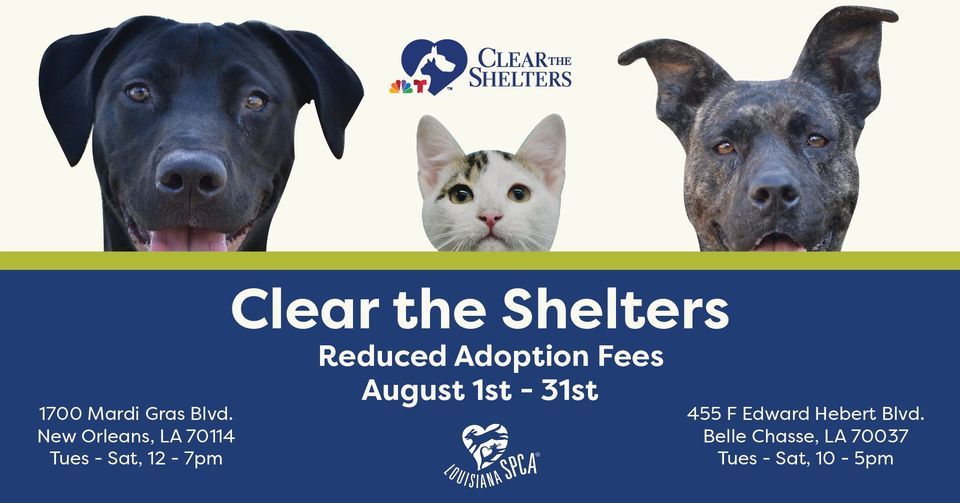 Clear the Shelters, The Louisiana SPCA, New Orleans, 6 August 2022