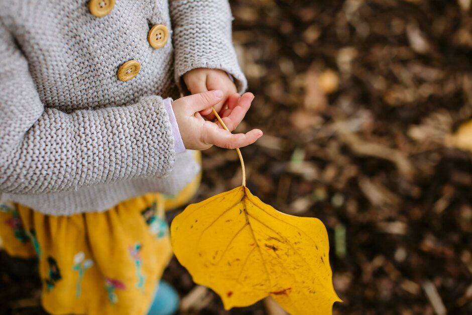 Welly Walk - Awesome Autumn Art