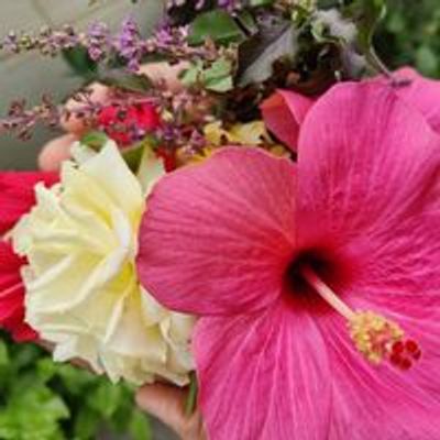 Belesiri Hydroponics Farming