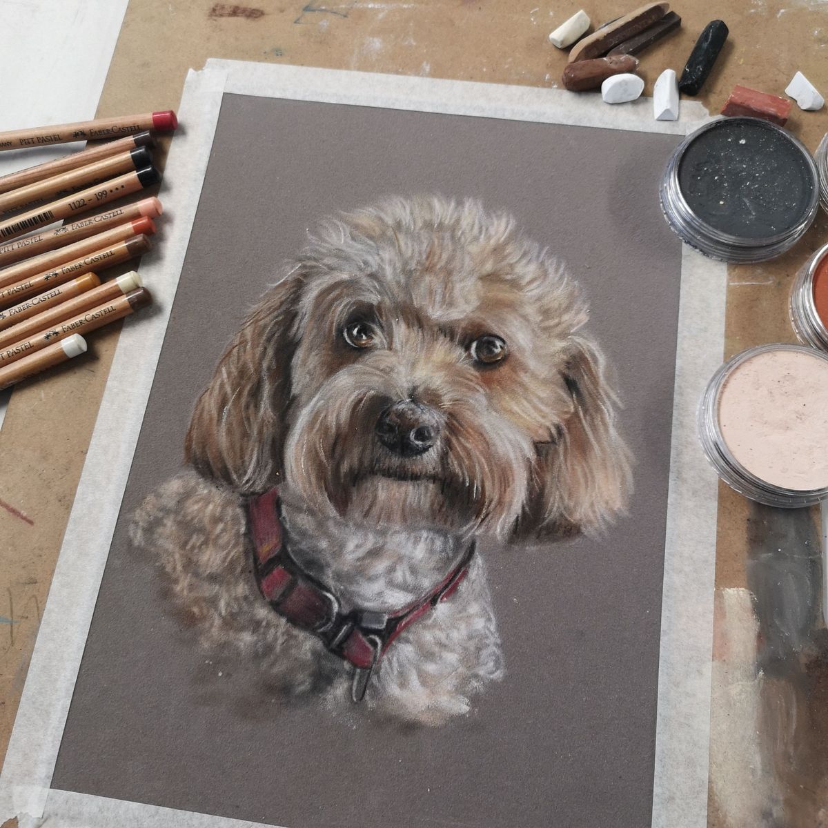 Dog, Pet Portrait Workshop \u00a395