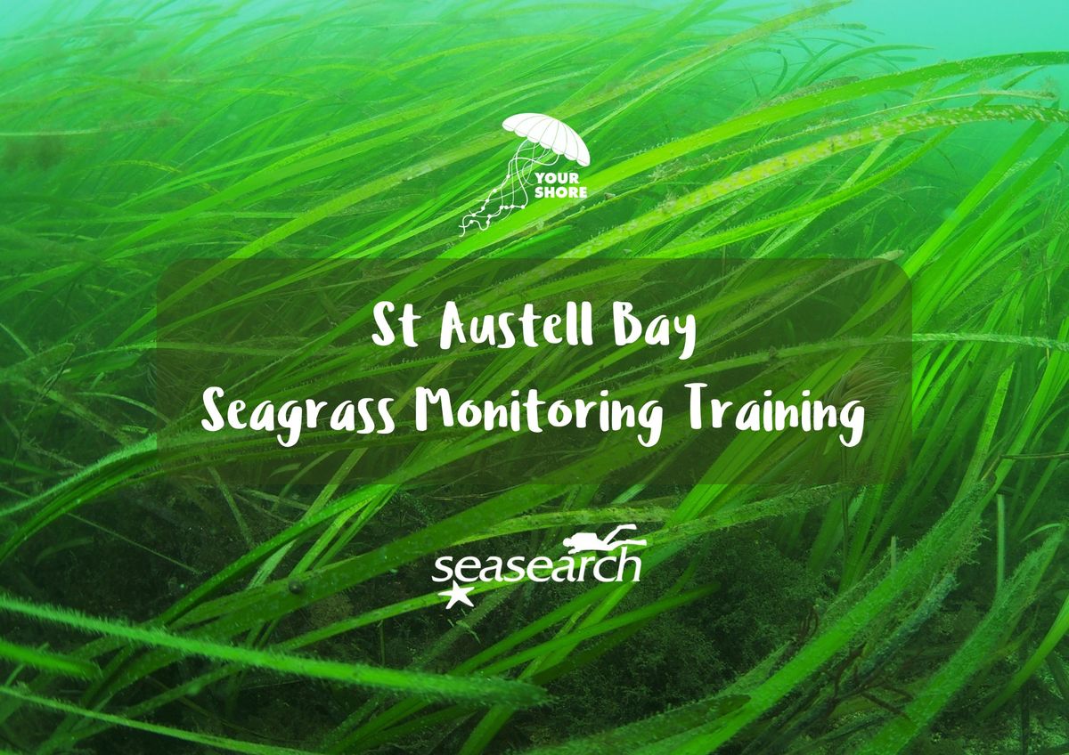 St Austell Bay Seagrass Monitoring Training