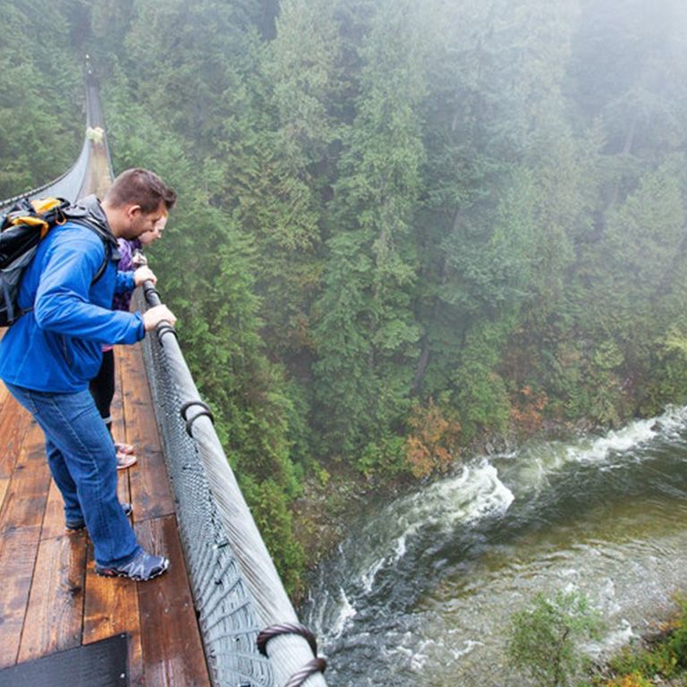 Capilano Suspension Bridge Park: Walk the treetops of the rainforest ...
