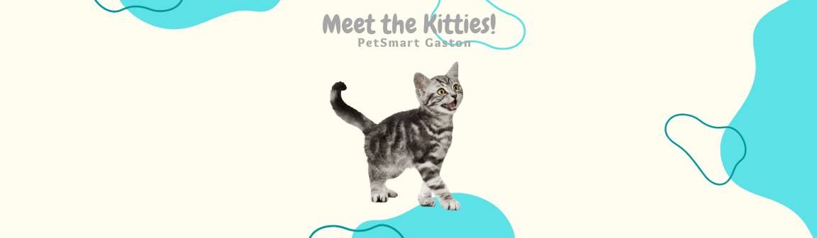 PetSmart Adoption Event  - Gaston Ave