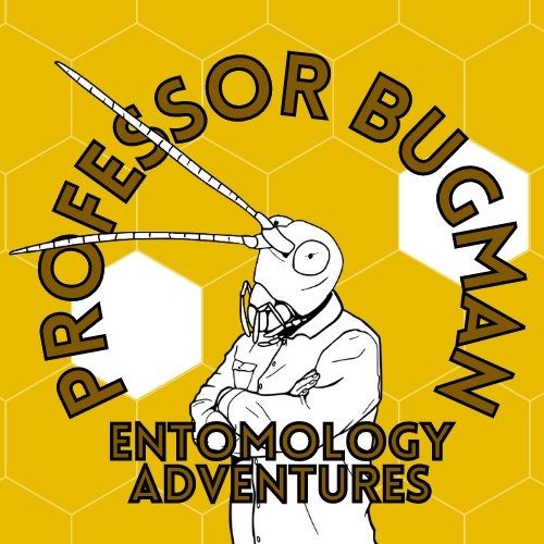 Hide-A-Bug with Professor Bugman Entomology Adventures