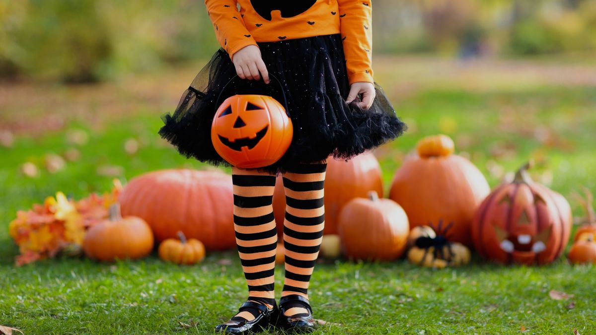 Halloween Pumpkin Trail & Afternoon Tea