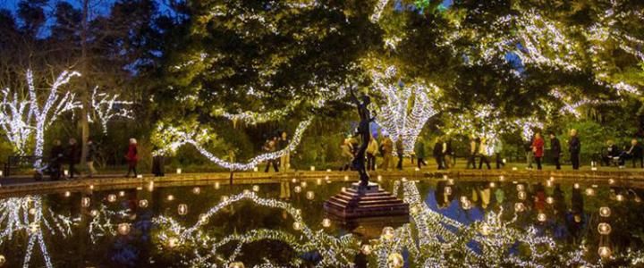 CofC Holiday Cheer at Brookgreen Gardens