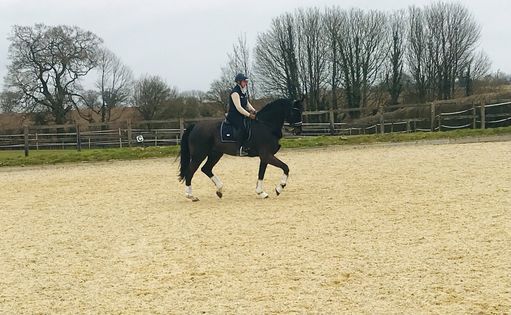 Dressage Clinic with Sue McMahon at Farley Hall