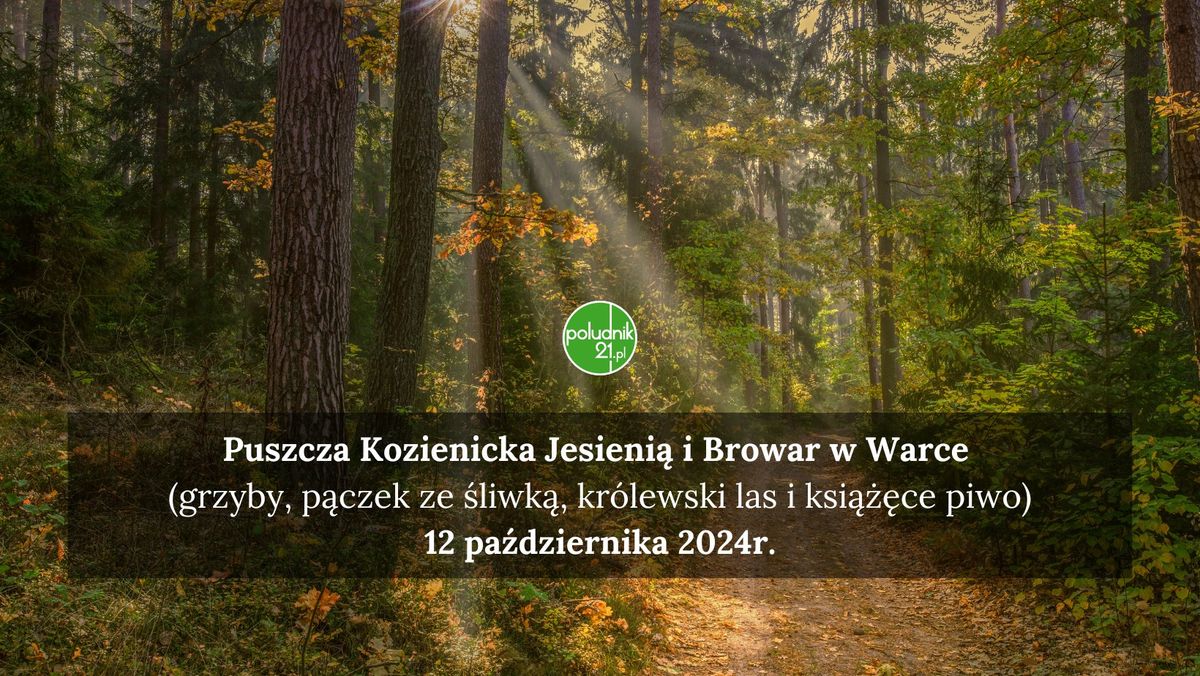 Puszcza Kozienicka Jesieni\u0105 i Browar w Warce 