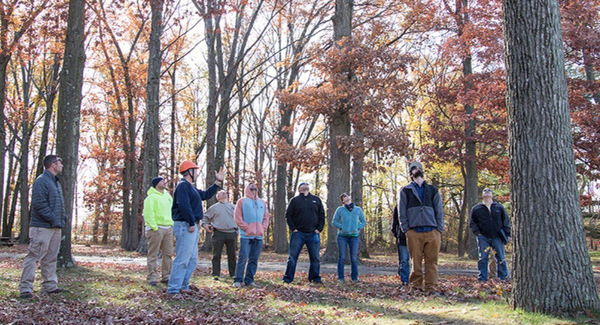 Hazardous Tree Identification (In-Person Training)