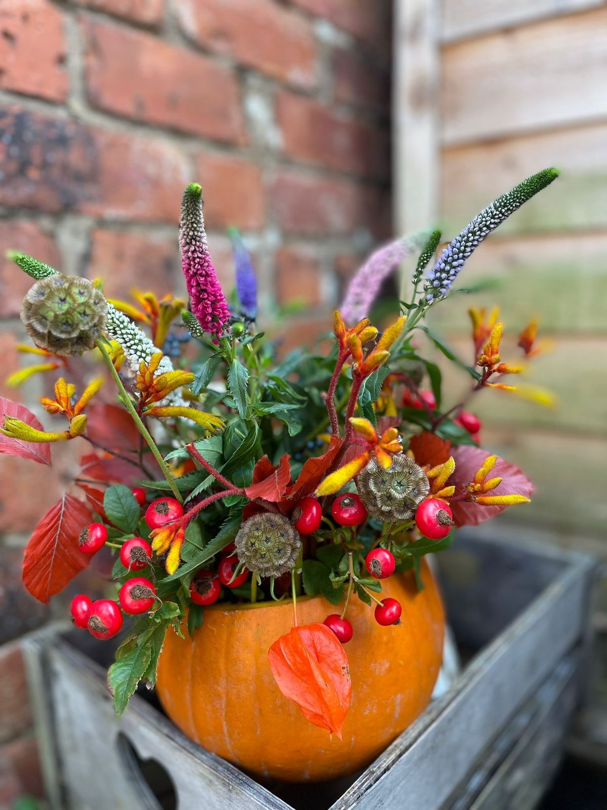 Pumpkin Flower Arrangement Workshop