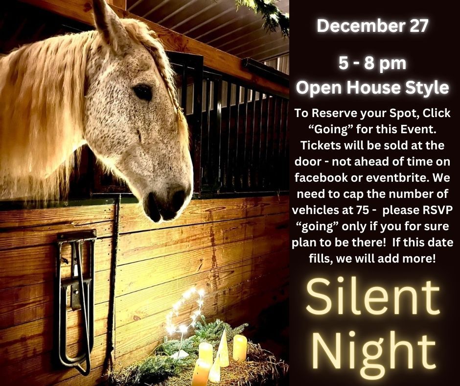 Silent Night at Whistler's Run and Rescue