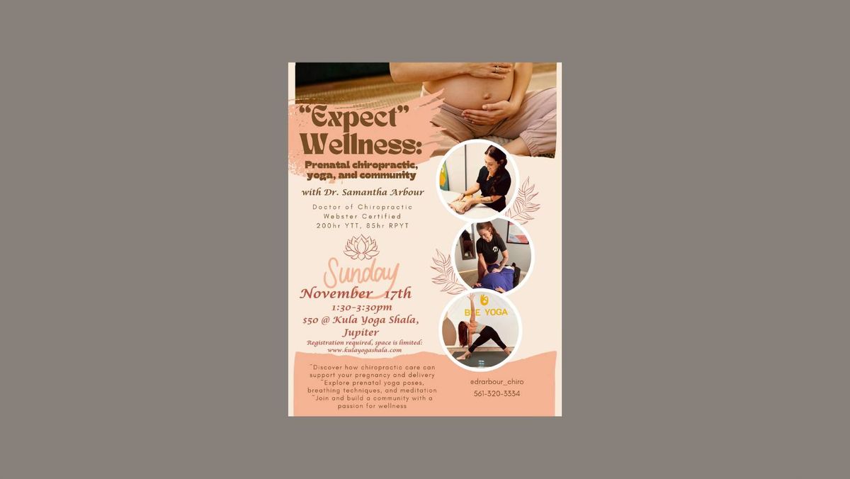 "Expect" Wellness : Prenatal Chiropractic, Yoga + Community with Dr. Samantha Arbour 