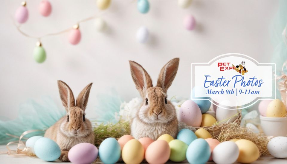 Pet Expo's Free Easter Photos! (With LIVE Bunnies!)