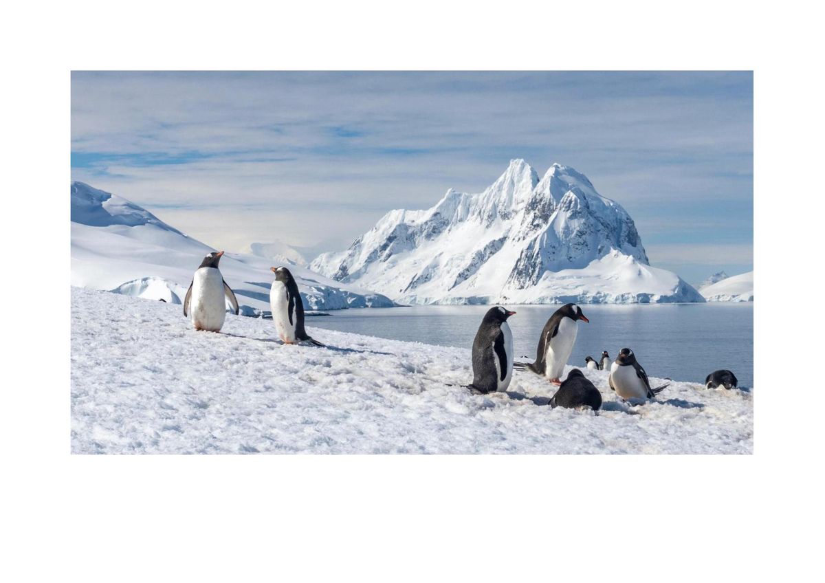 A visit to Antarctica described by Lloyd Kinley