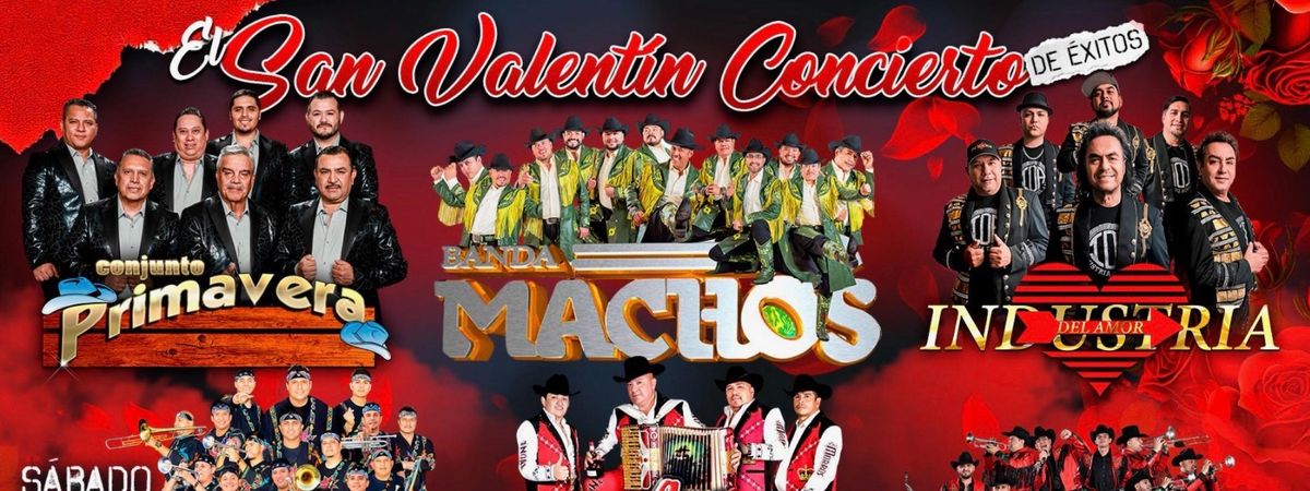 Conjunto Primavera with Banda Machos