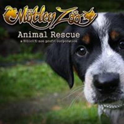 Motley Zoo Animal Rescue