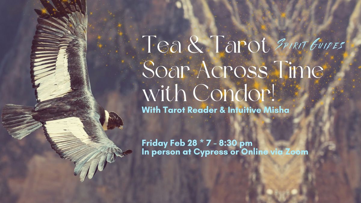 Sarasota Shamanism & Tea & Tarot Spirit Guides: Soar Across Time & Space with Condor 