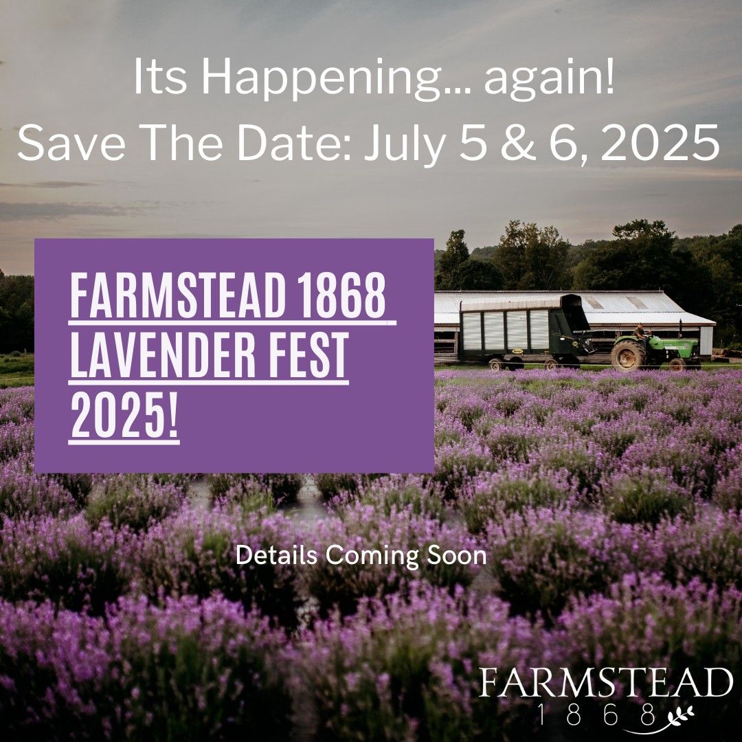 Lavender Festival 2025